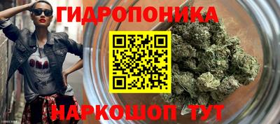 молекула духа Гусев