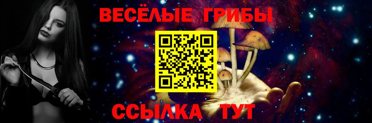 Галлюциногенные грибы Psilocybine cubensis  Вход с VPN  Моздок 